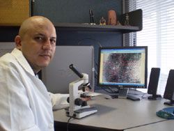 Microlofoscopía