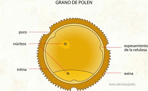 Polen en las balas: nueva tecnología de rastreo