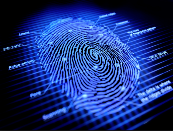 Sistema evolutivo reconocedor de huellas digitales
